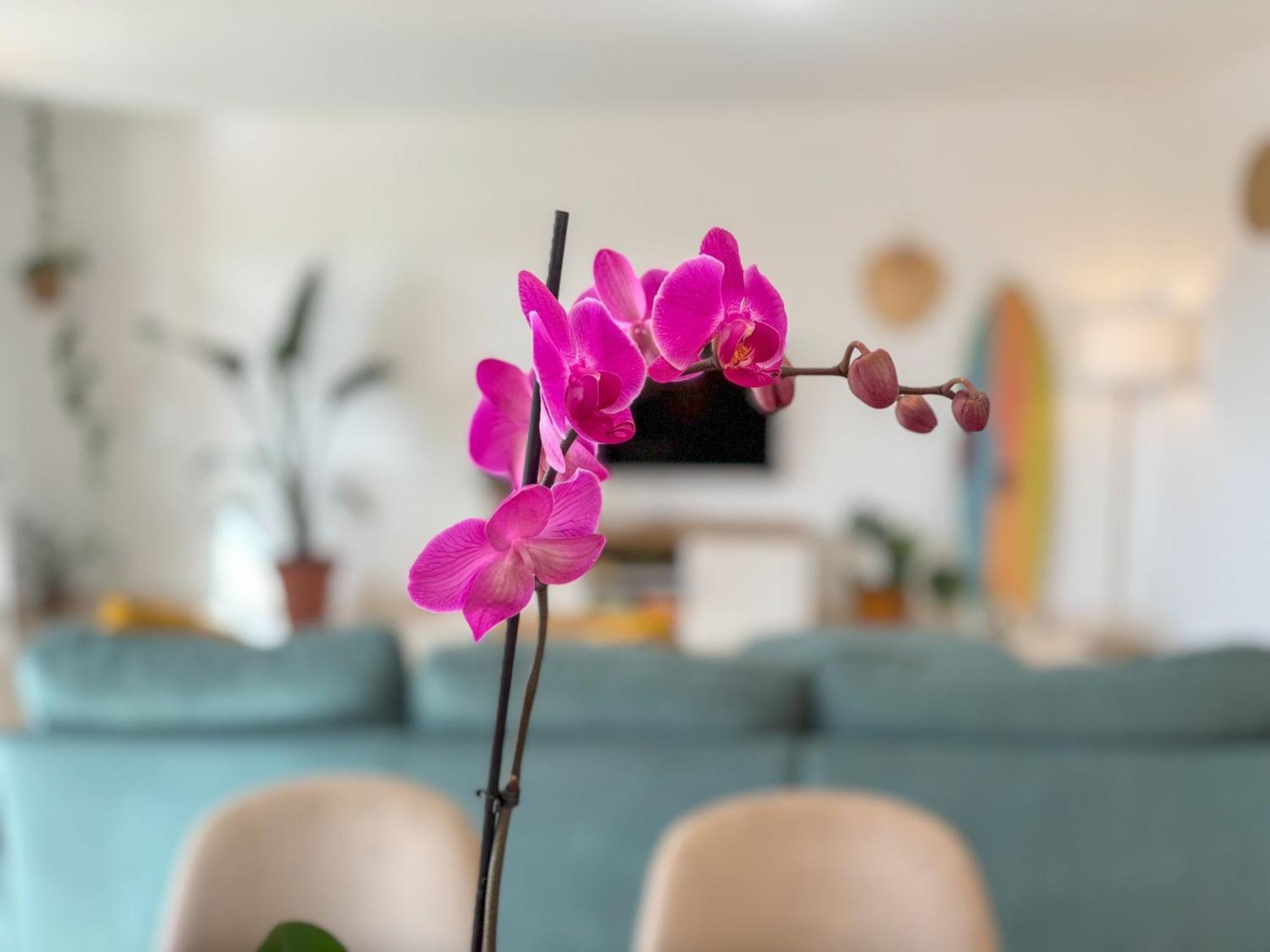 Villa Tarabilla With Private Pool & Ocean Views Corralejo Exterior foto